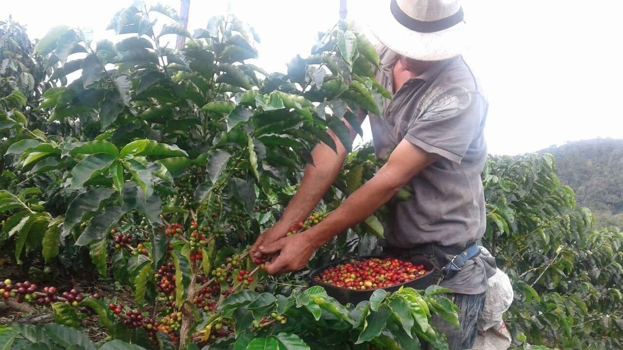 IMG 20171016 WA0002 1 PAC Samana