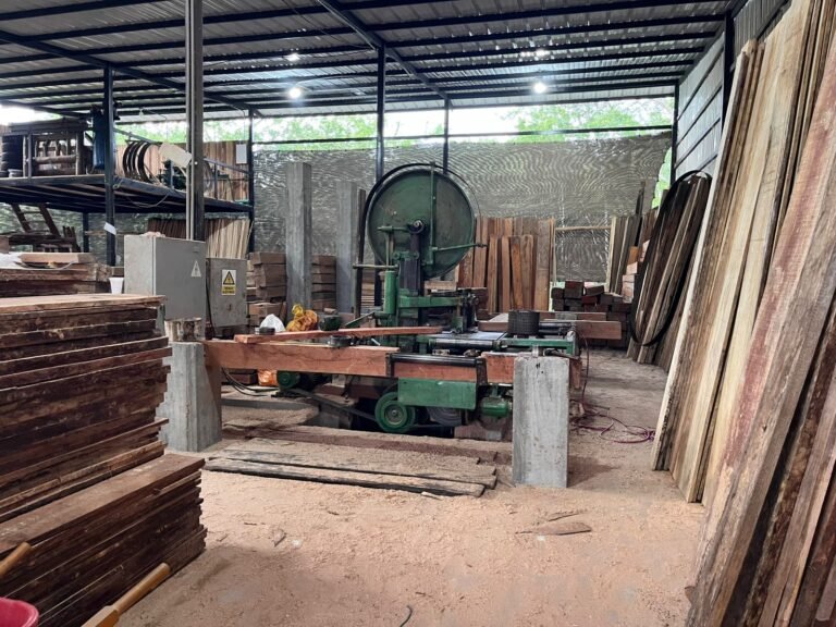 IMG 20251124 WA0029 LUZ DARY HERNANDEZ SUAREZ 768x576