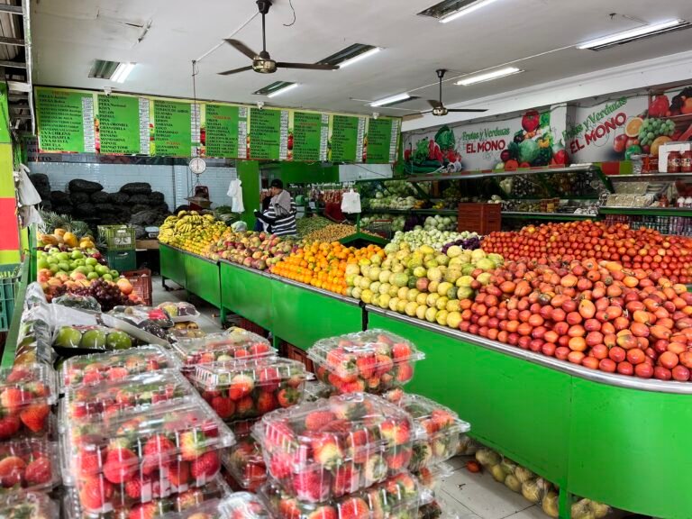 IMG 2061 pac boyaca ccd 768x576