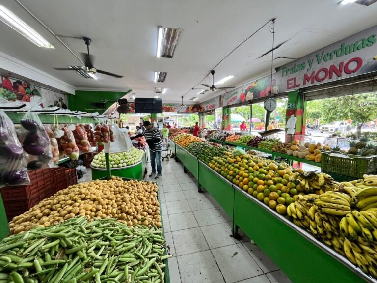 IMG 2062 pac boyaca ccd 768x576