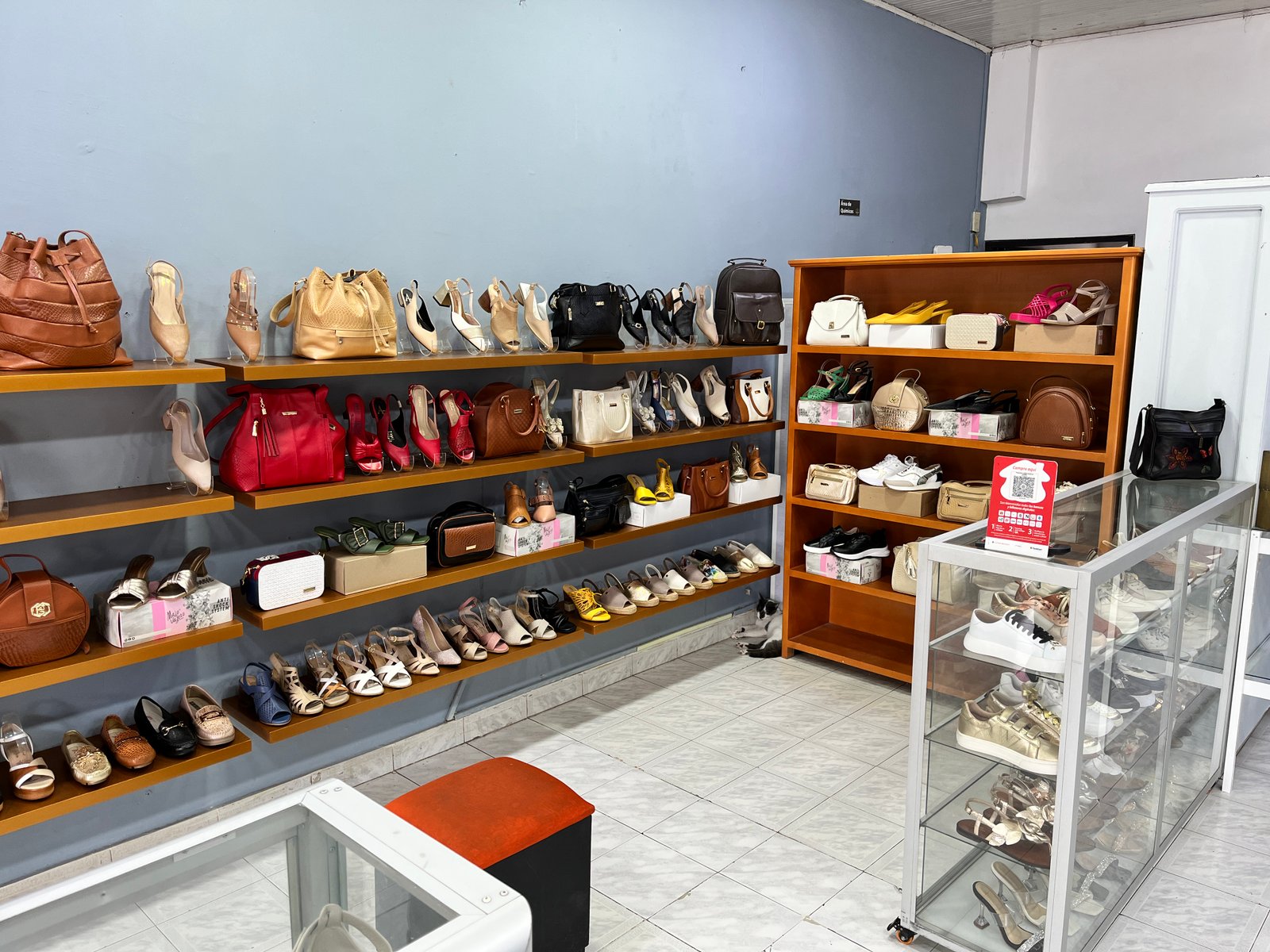 IMG 2069 pac boyaca ccd