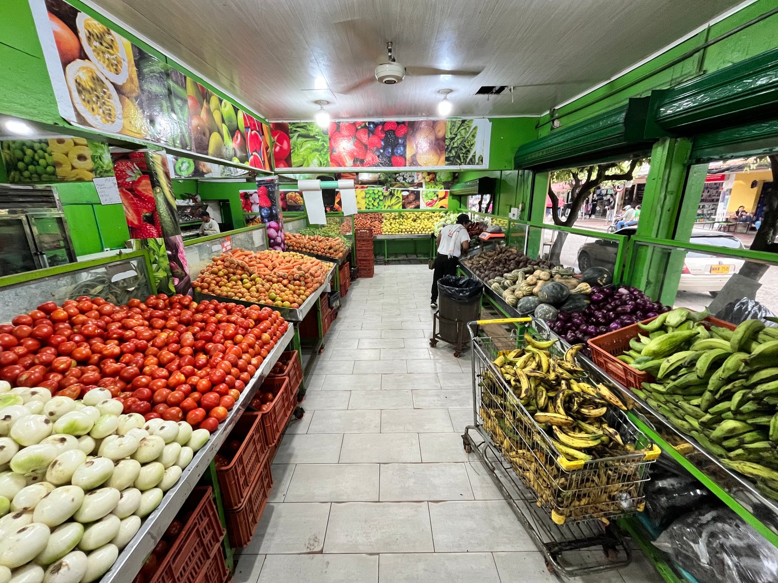 IMG 2135 pac boyaca ccd