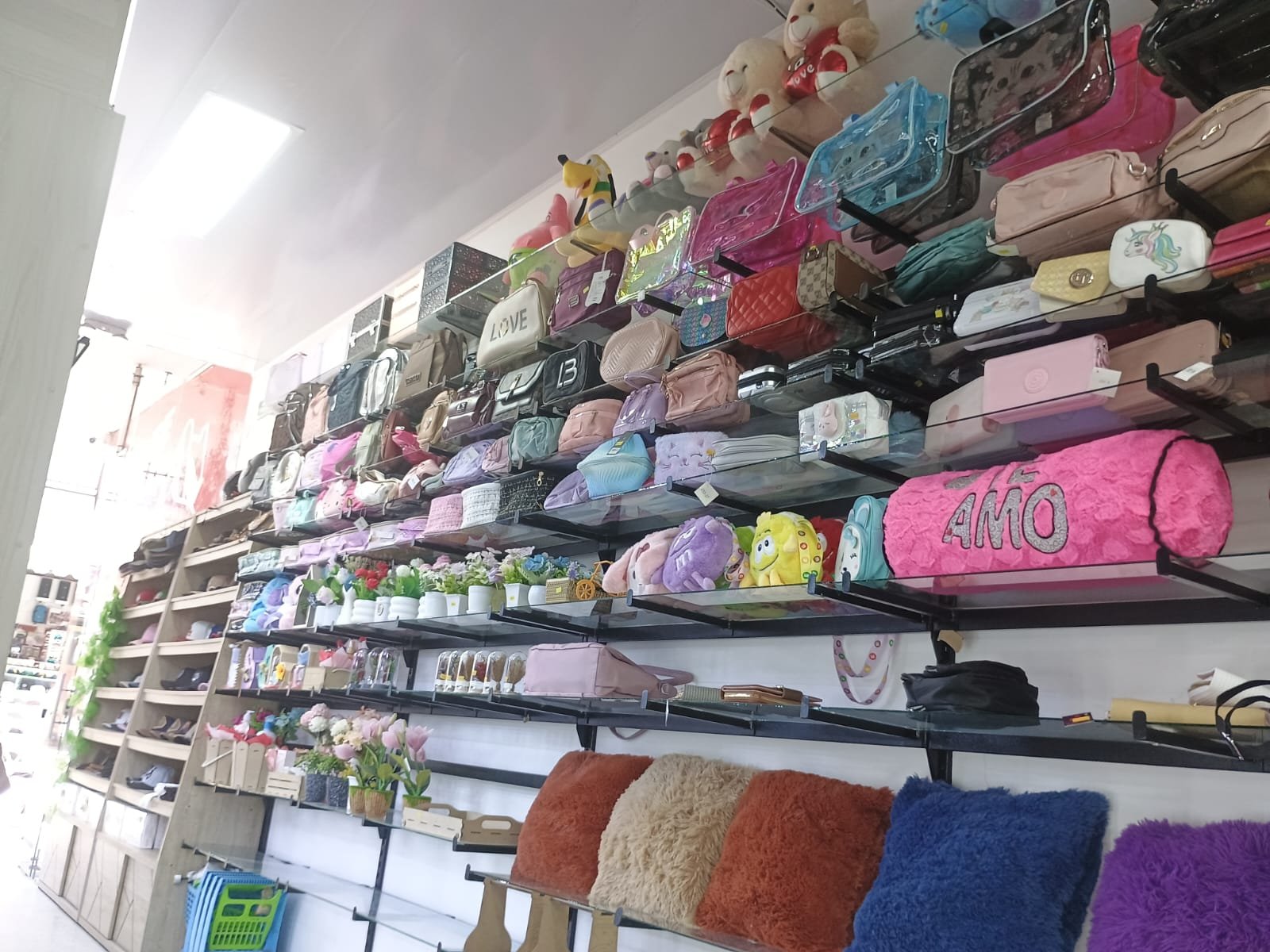 WhatsApp Image 2025 10 06 at 8.54.49 AM 2 PAC Samana