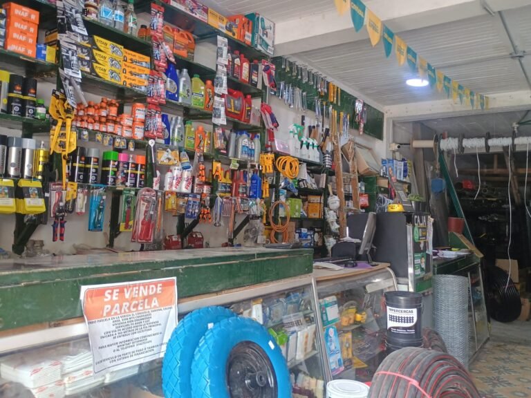 WhatsApp Image 2025 11 18 at 10.51.06 AM PAC Samana 768x576