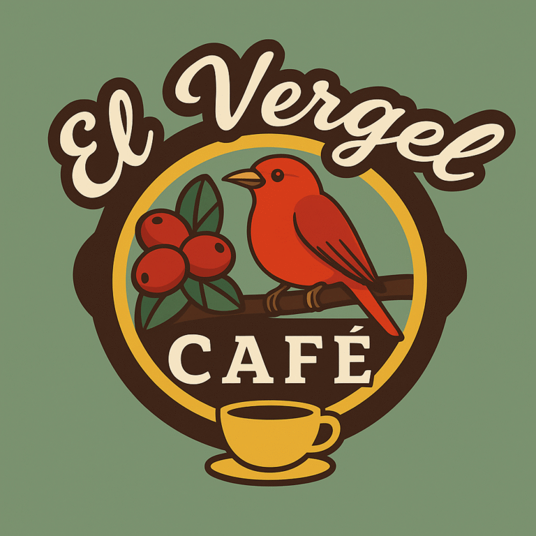 elvergel 1 1 768x768