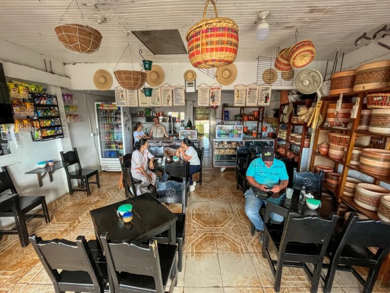 ESTANQUILLO Y MISCELANEA MI RANCHITO sistemas cdorada 768x576