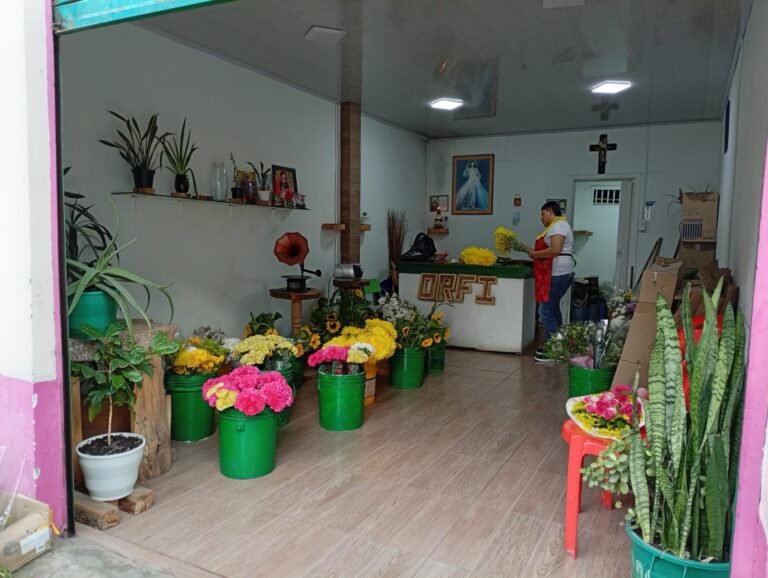 FLORISTERIA 1 sistemas cdorada 768x578