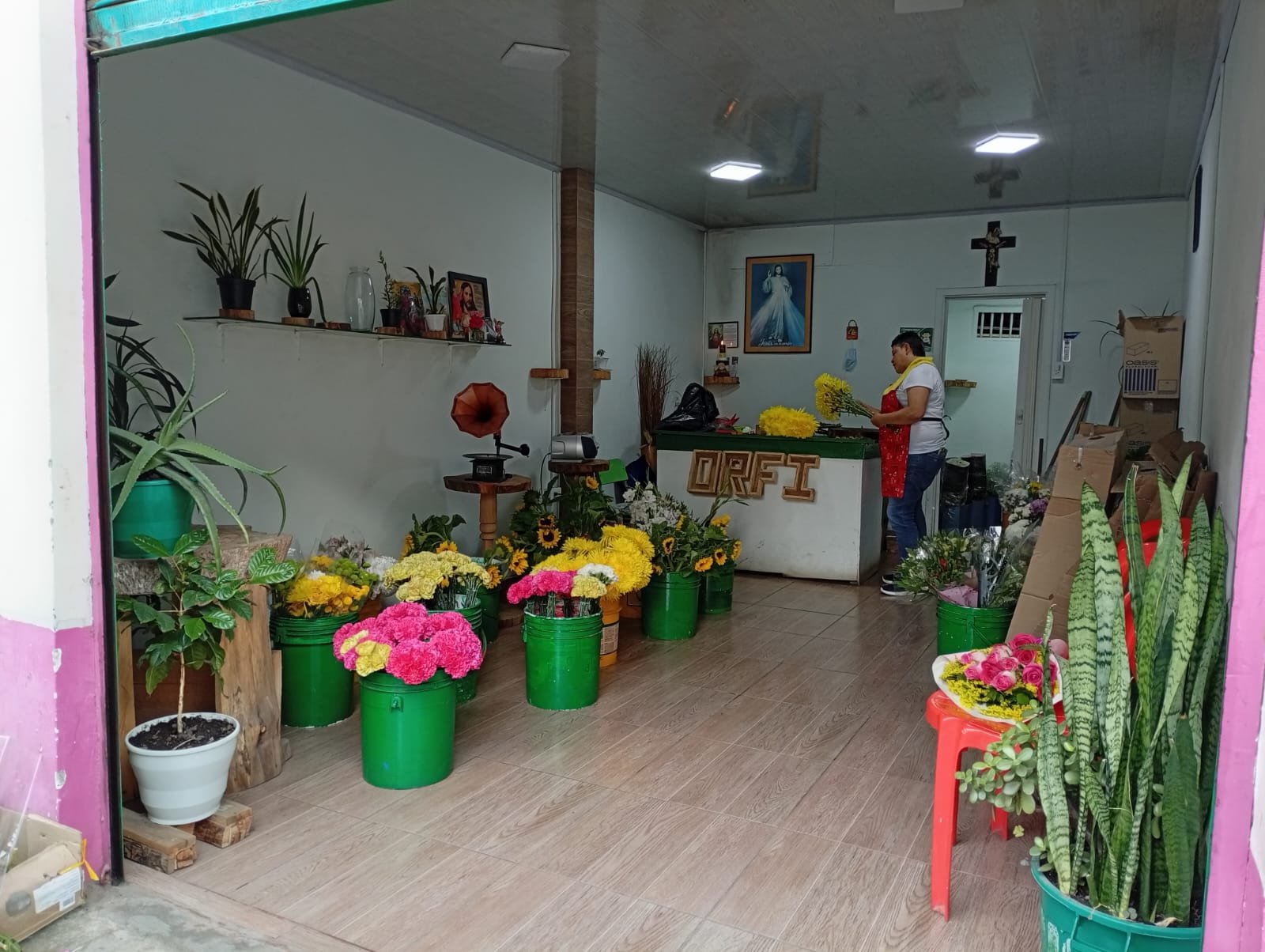 FLORISTERIA 1 sistemas cdorada