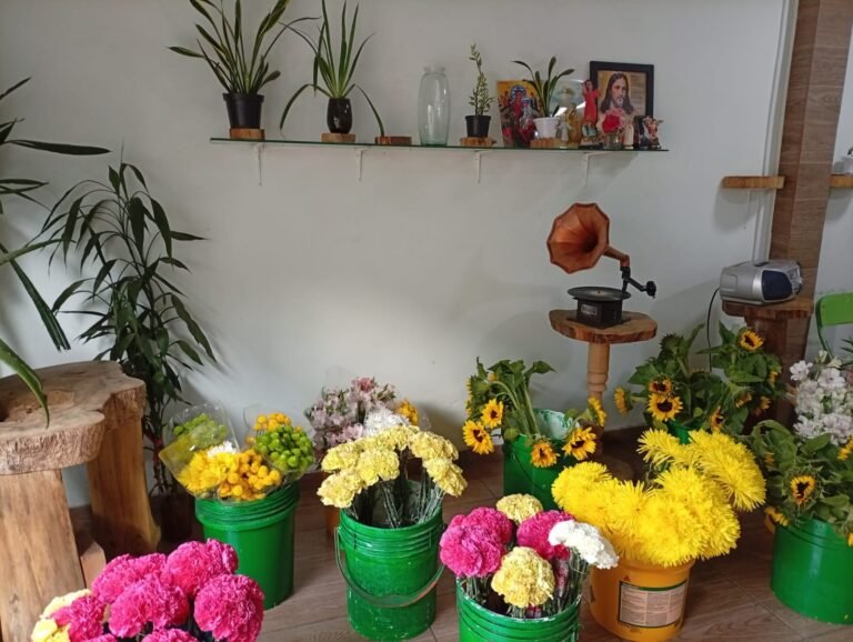 FLORISTERIA 3 sistemas cdorada 768x578