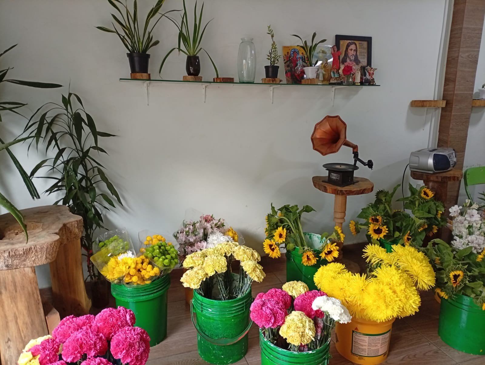 FLORISTERIA 3 sistemas cdorada