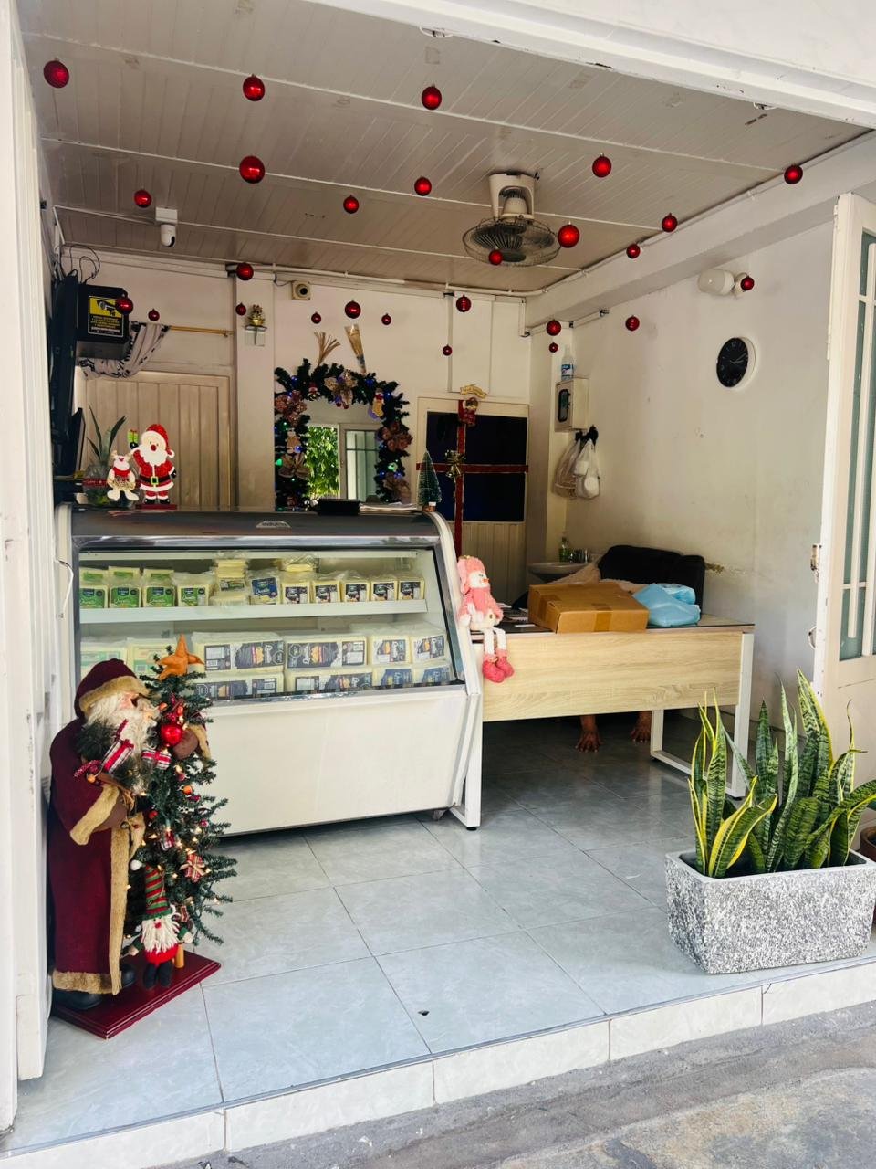 WhatsApp Image 2025 12 10 at 5.02.05 PM 2