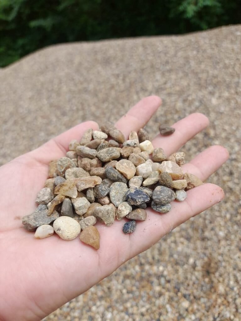 WhatsApp Image 2026 01 20 at 11.23.16 AM 1 768x1024