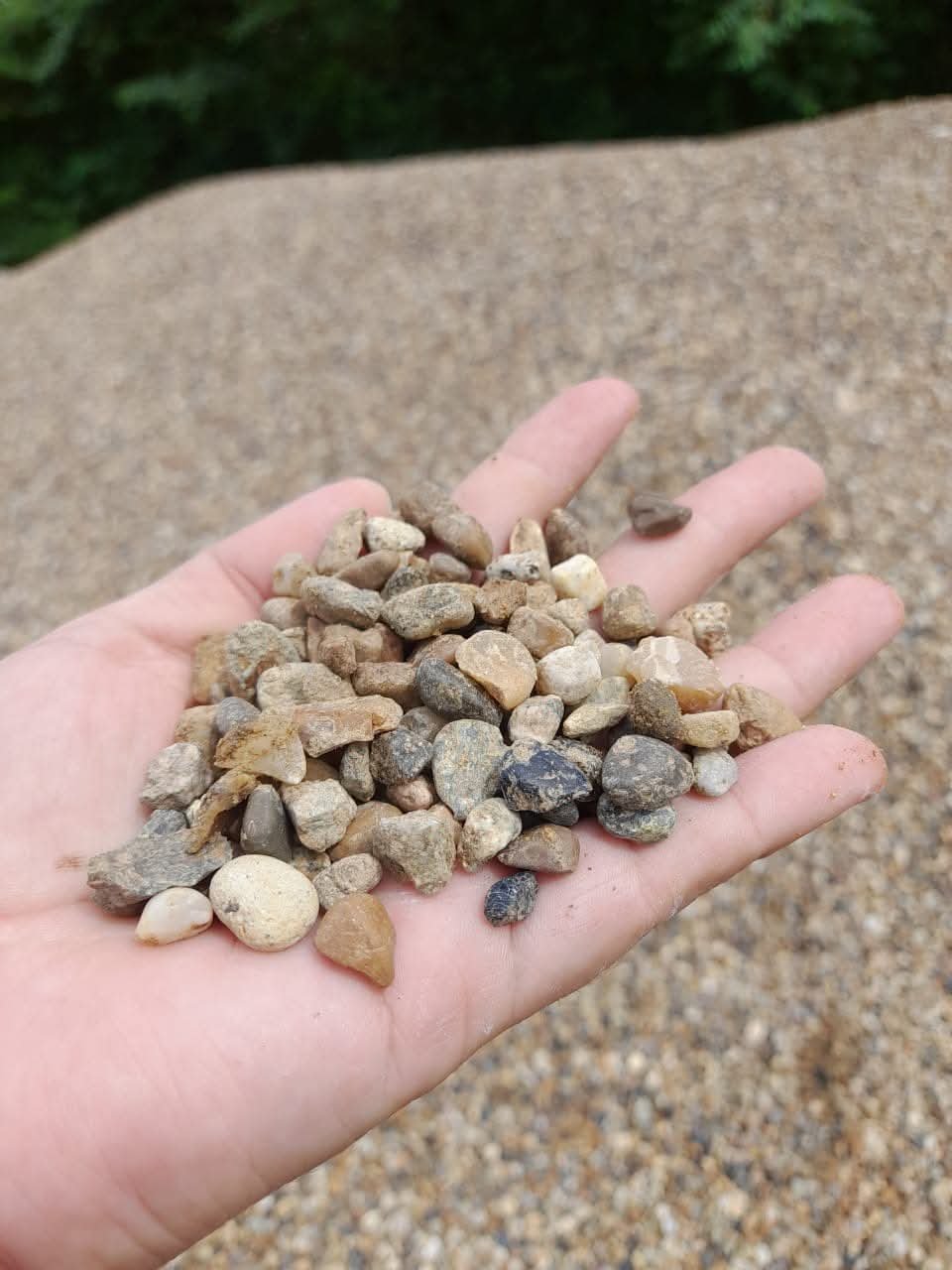 WhatsApp Image 2026 01 20 at 11.23.16 AM 1