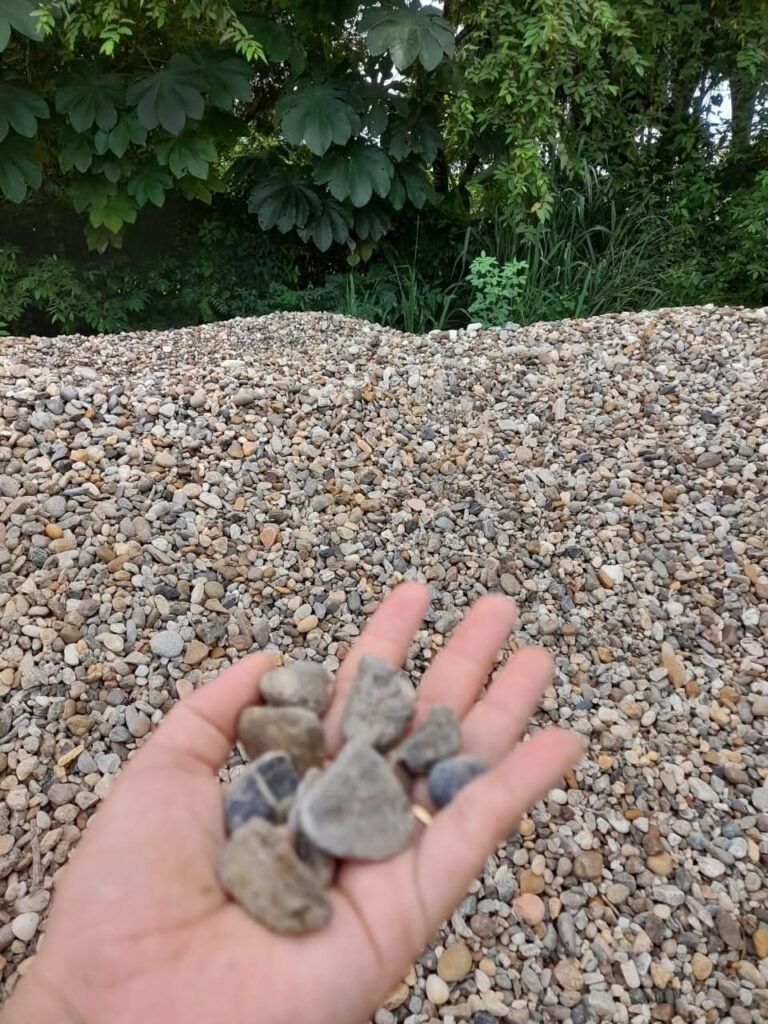 WhatsApp Image 2026 01 20 at 11.23.16 AM 2 768x1024