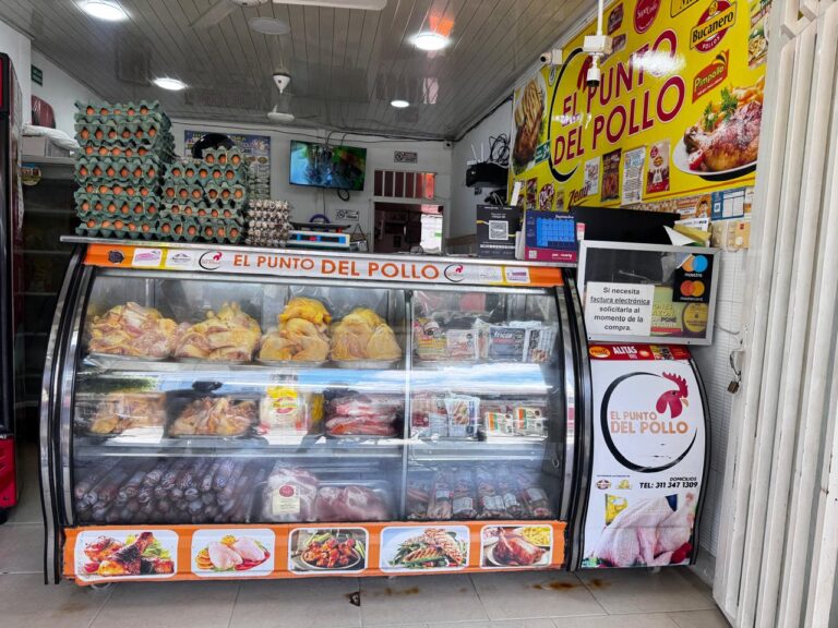 IMG 20240927 WA0111 Jennifer Rincon 768x576