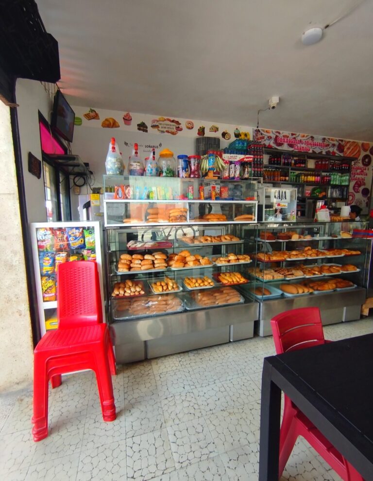 IMG 20241008 083440 Jennifer Rincon 768x990