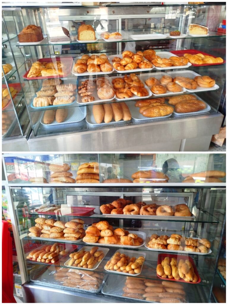 IMG 20241008 083902 Jennifer Rincon 1 768x1024