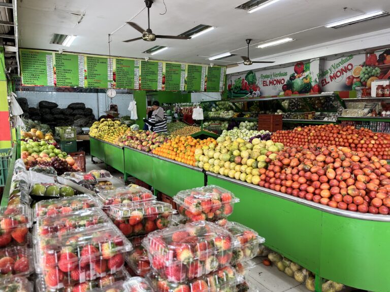 IMG 2061 pac boyaca ccd 1 768x576