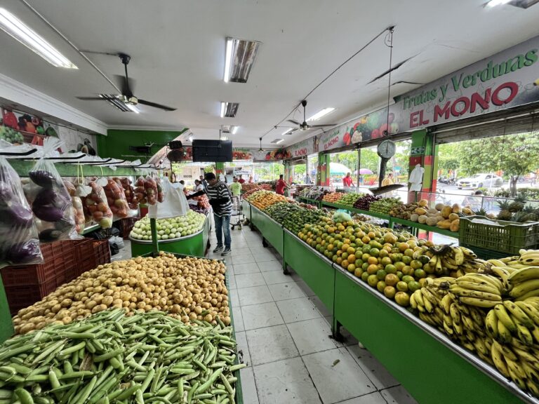 IMG 2062 pac boyaca ccd 1 768x576