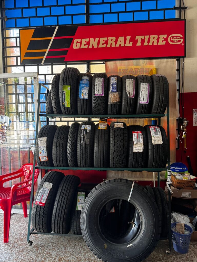 Imagen de WhatsApp 2024 09 04 a las 18.22.10 7a031873 Elisa Cifuentes Villalobos 768x1024