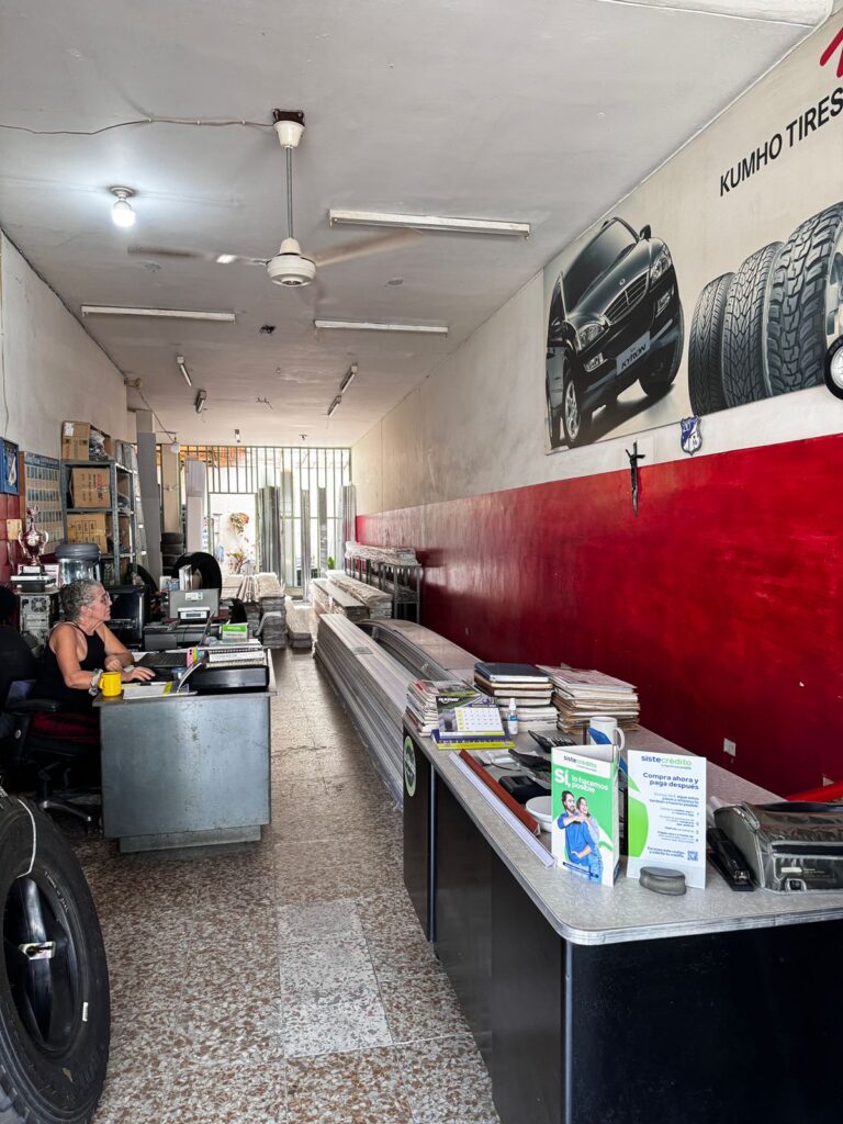 Imagen de WhatsApp 2024 09 04 a las 18.22.12 6b638c72 Elisa Cifuentes Villalobos 768x1024