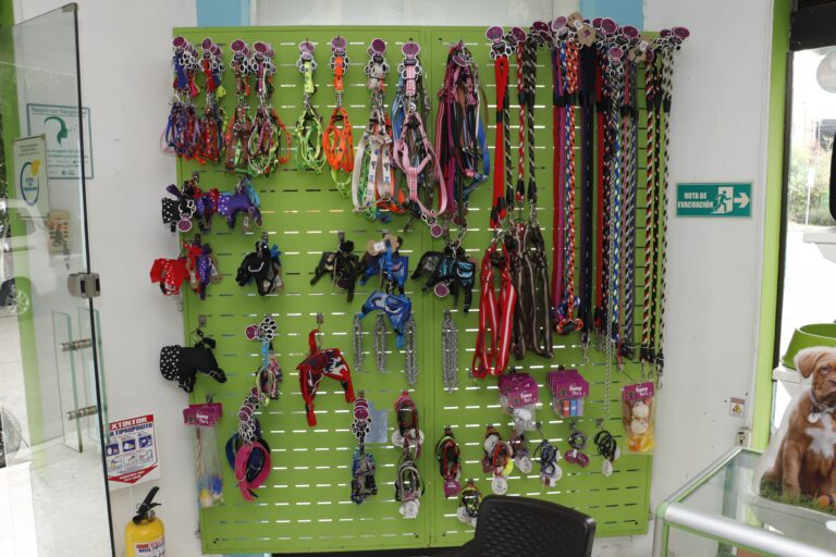 MG 2839 pac boyaca ccd 768x512