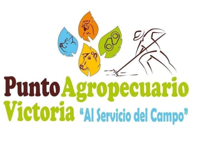 WhatsApp Image 2025 01 24 at 3.59.35 PM Afiliados 768x594