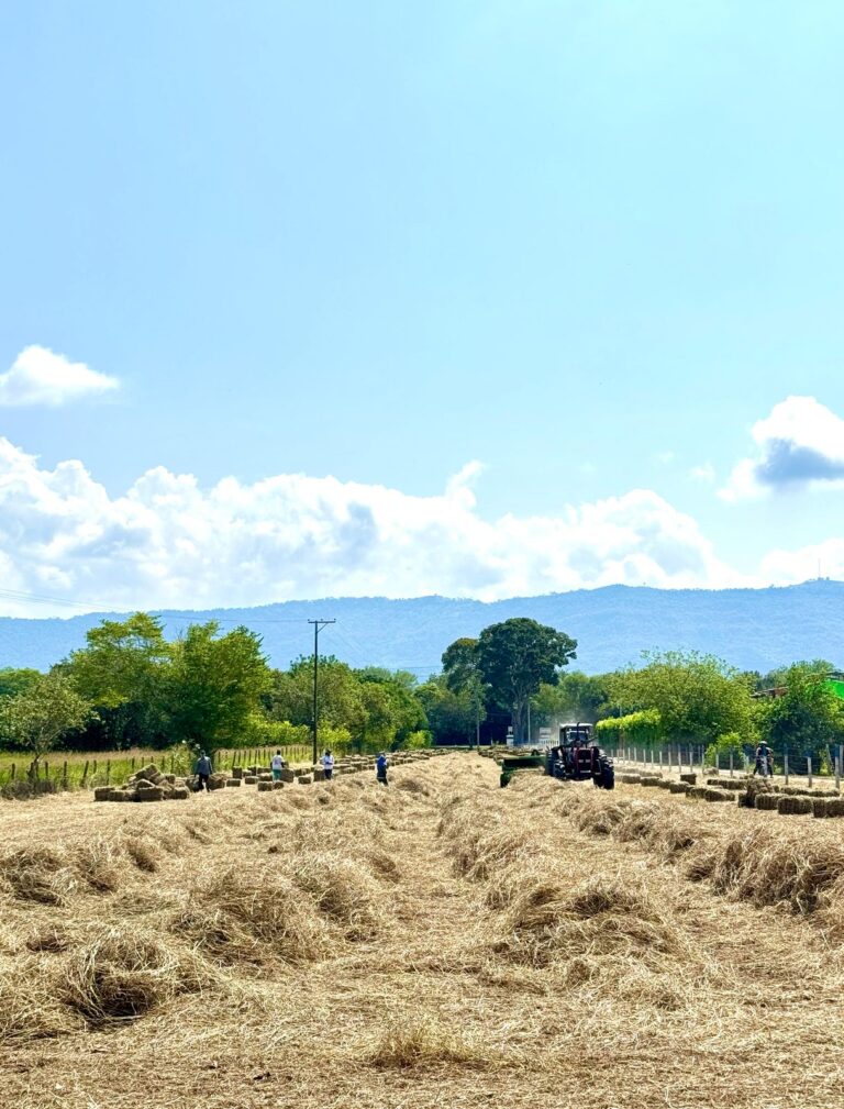 WhatsApp Image 2025 03 10 at 12.50.17 PM 1 Capcutpro3cca 768x1009