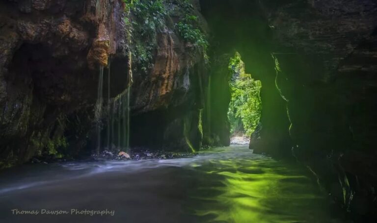 WhatsApp Image 2025 03 18 at 8.56.42 AM 1 Laura Valenzuela 768x455