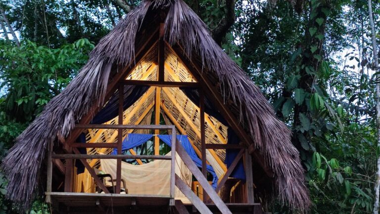 WhatsApp Image 2025 03 18 at 8.56.42 AM 2 Laura Valenzuela 768x432