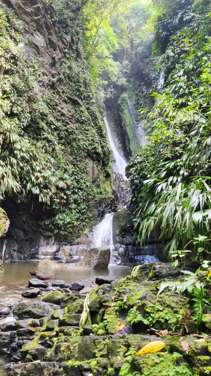 WhatsApp Image 2025 03 18 at 8.56.43 AM 1 Laura Valenzuela