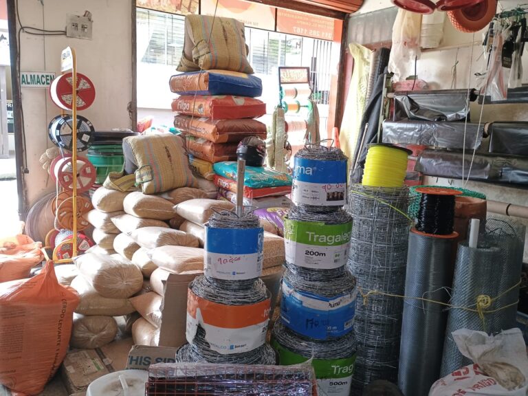 WhatsApp Image 2025 05 22 at 3.12.57 PM 2 sandra marcela atehortua valencia 768x576