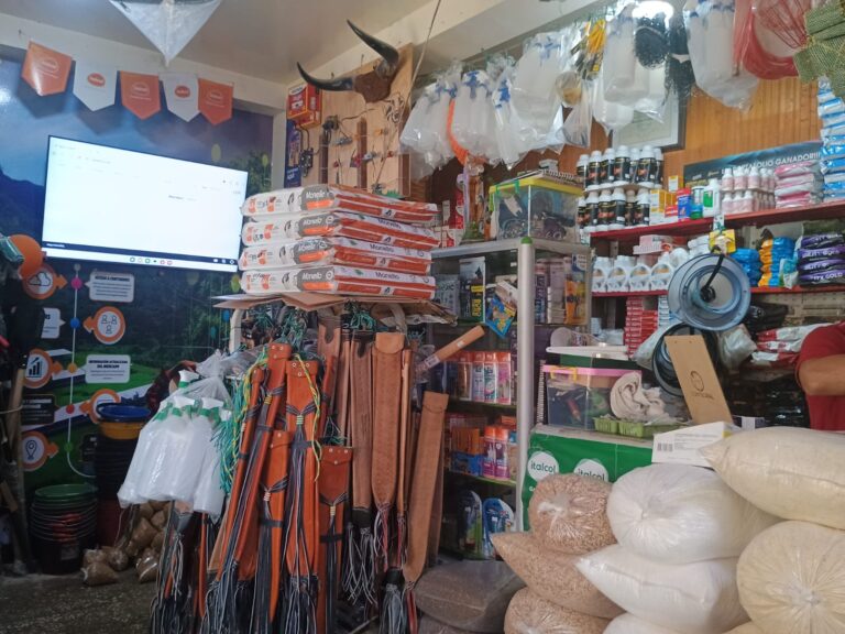 WhatsApp Image 2025 05 22 at 3.12.57 PM sandra marcela atehortua valencia 768x576