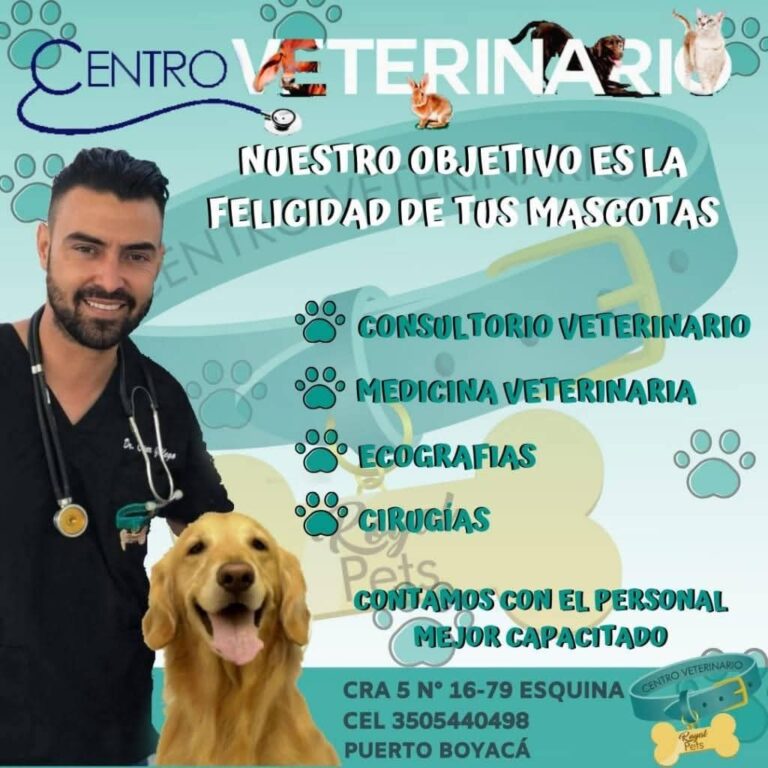 WhatsApp Image 2025 11 24 at 9.24.43 AM 1 pac boyaca ccd 768x768