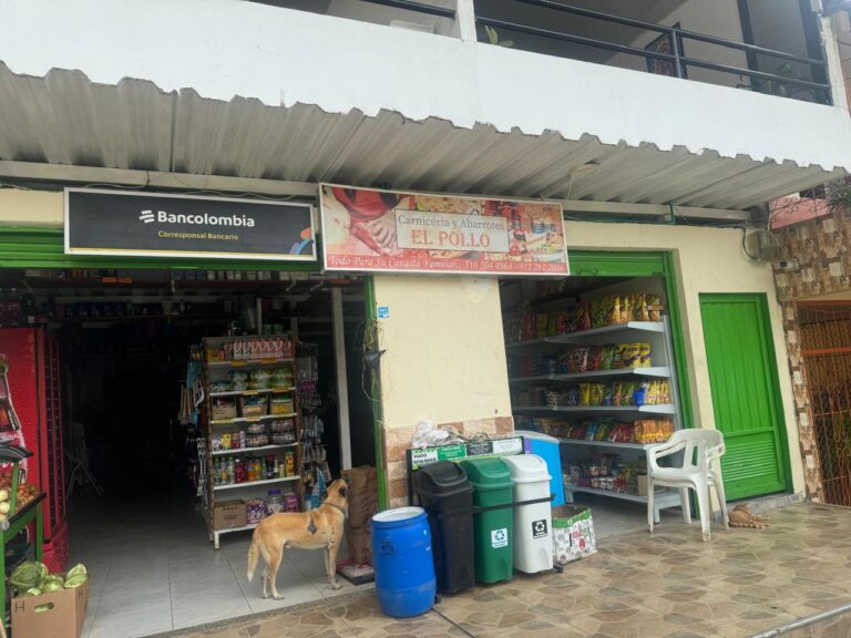 abarrotes el pollo 1 Fernanda Lorena Betancur Arias 1 768x576
