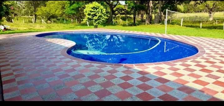 c0a28e84 86bc 48c4 9ce4 6f0b1eb6979e Dora Smith Zapata