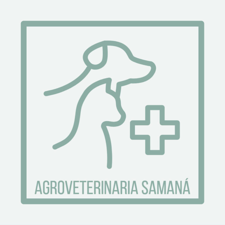 image 4 sandra marcela atehortua valencia 768x768