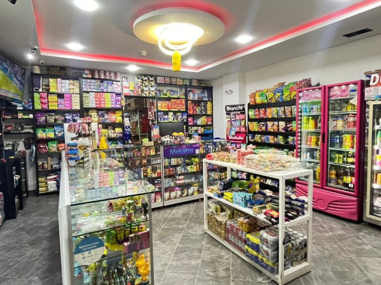 mekatos 3 Fernanda Lorena Betancur Arias 768x576