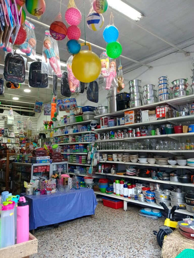 vaika2 Fernanda Lorena Betancur Arias 768x1023