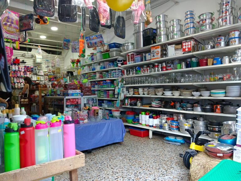 vayka1 Fernanda Lorena Betancur Arias 768x576